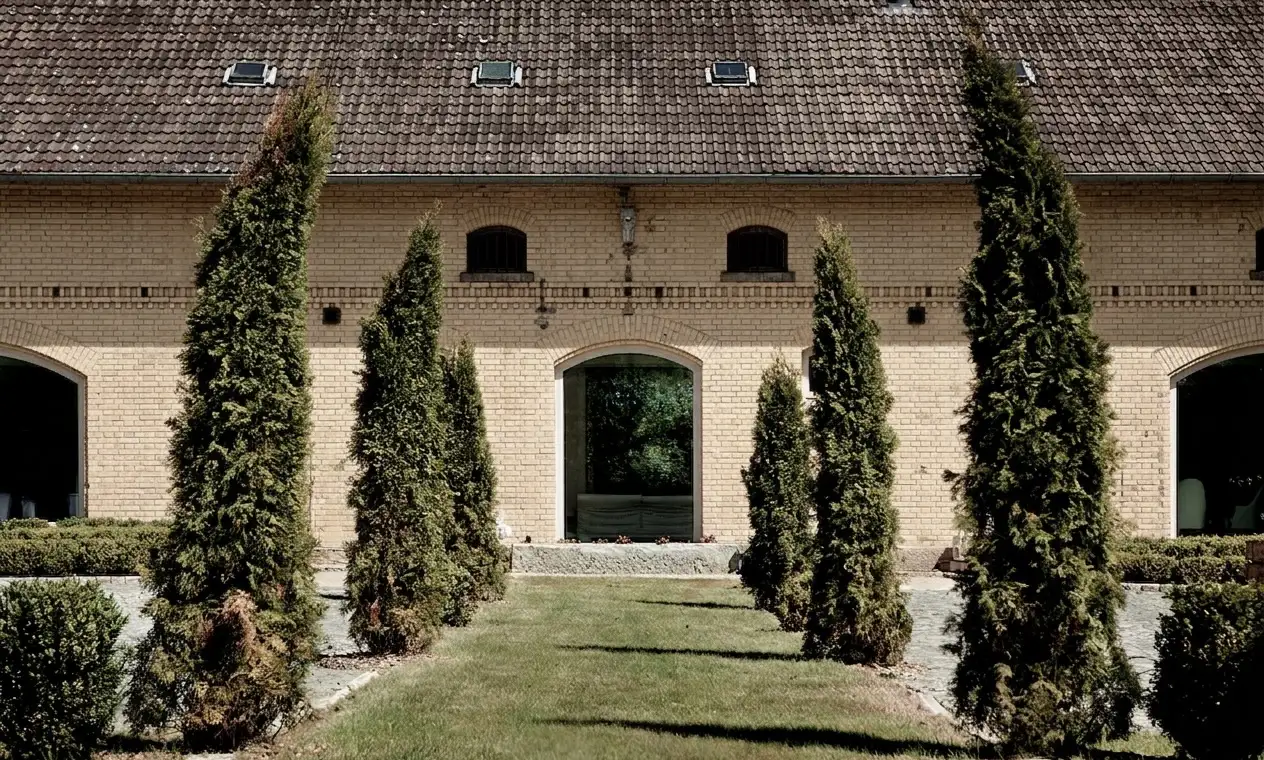 Wooden Doors / Windows